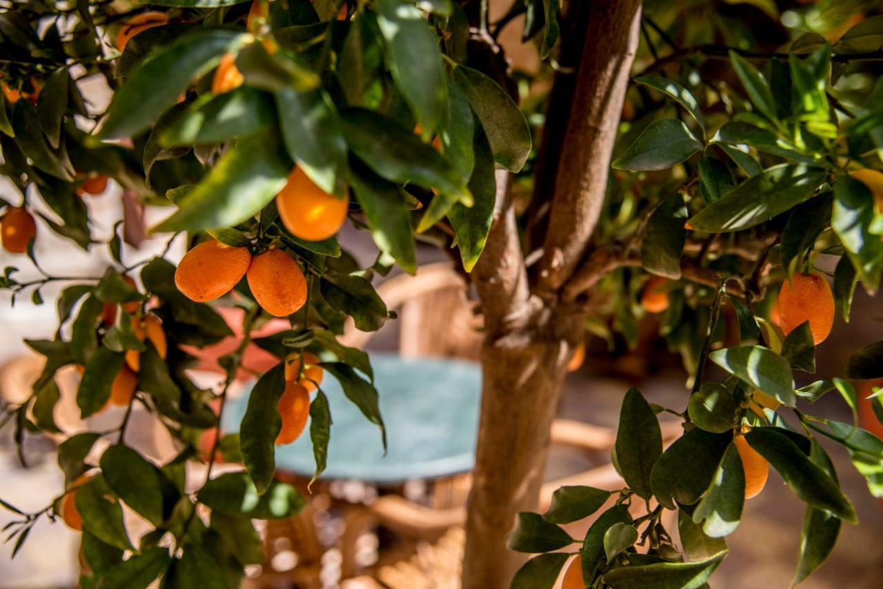 Dar Camelia Bed & Breakfast Tyre Exterior photo