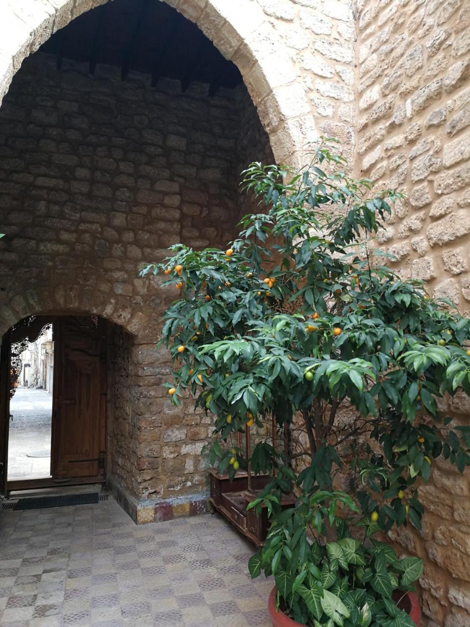 Dar Camelia Bed & Breakfast Tyre Exterior photo